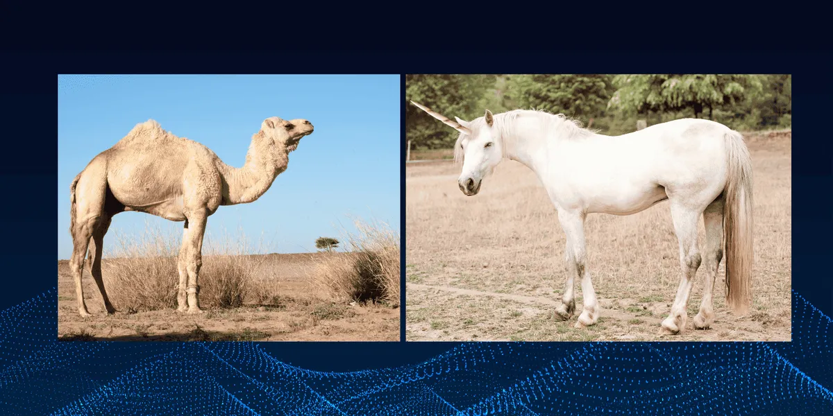 Bukan Lagi Unicorn: Bangun Startup Tahan Banting ala ‘Unta’